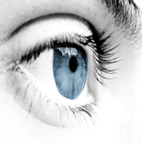 Logo Acuitis