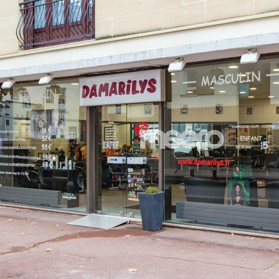 Logo Damarilys