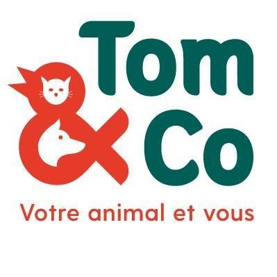 Logo Tom & Co